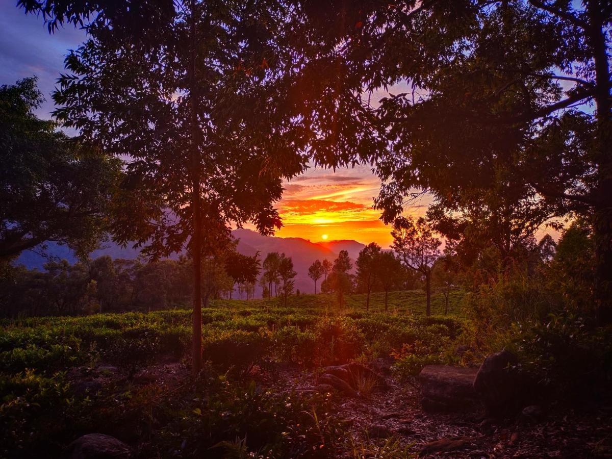 Eco Lodge Haputale-Camping Sri Lanka Exteriér fotografie