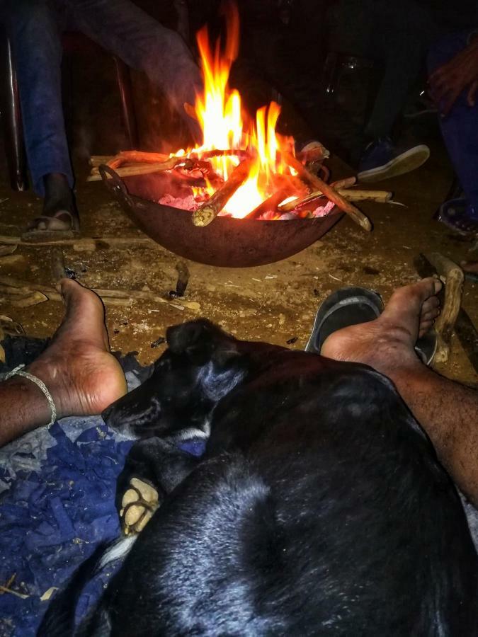 Eco Lodge Haputale-Camping Sri Lanka Exteriér fotografie