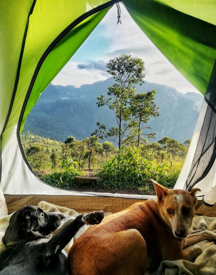 Eco Lodge Haputale-Camping Sri Lanka Exteriér fotografie